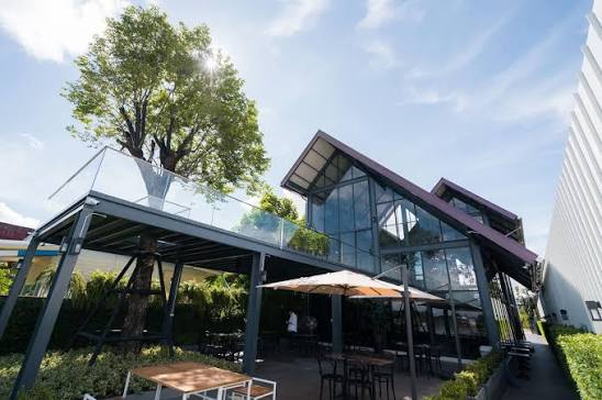 Bruce Coffee หนองคาย
