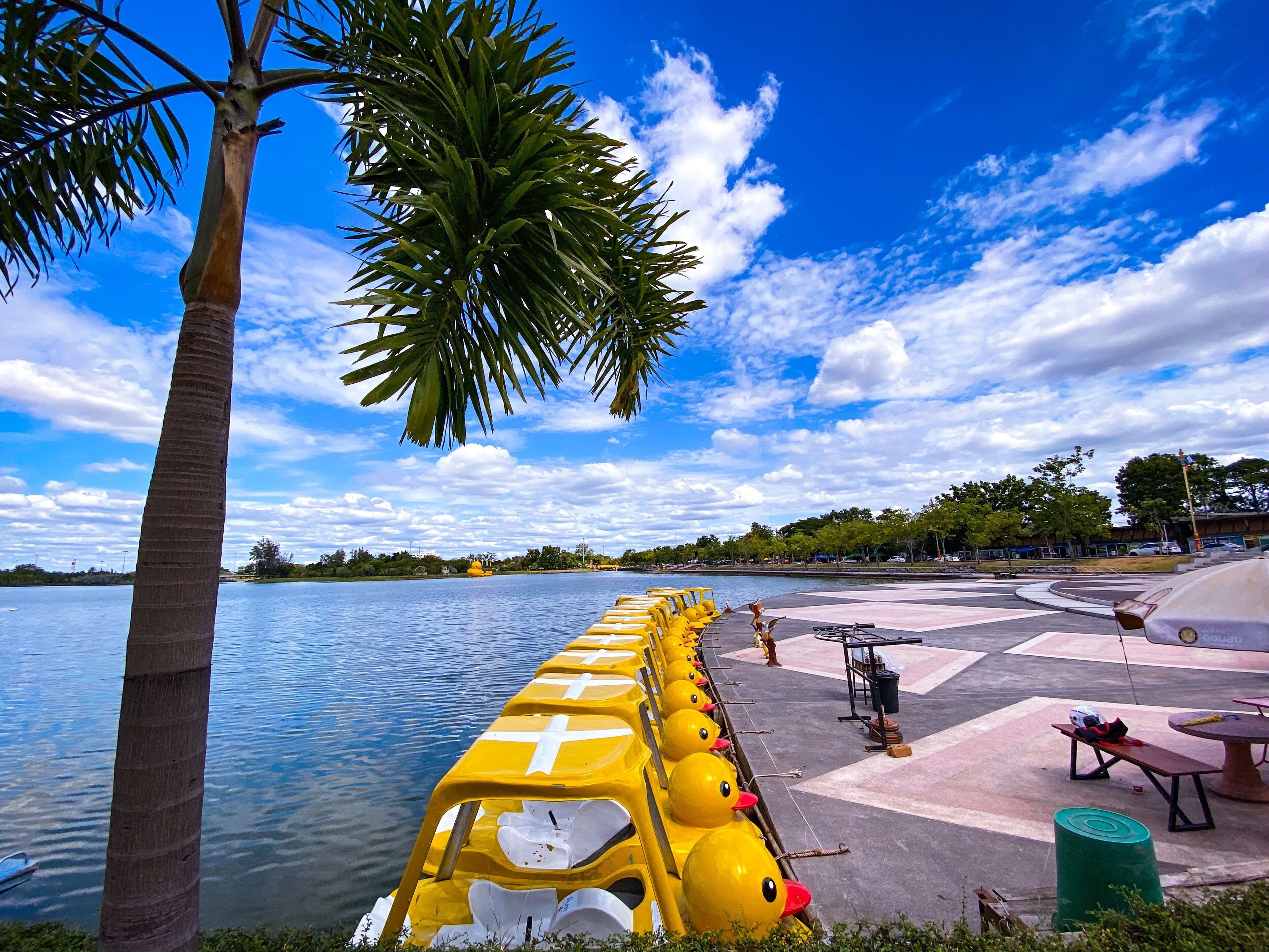 ที่เที่ยวอุดรธานี สวนสาธารณะหนองประจักษ์