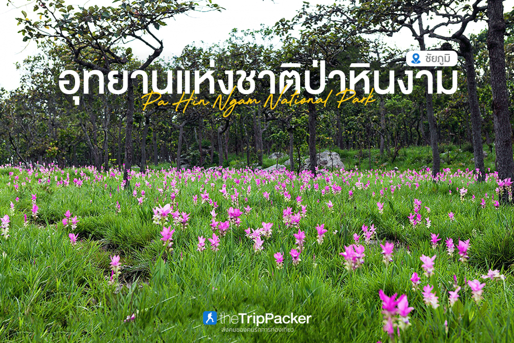 ที่เที่ยวชัยภูมิ อุทยานแห่งชาติป่าหินงาม