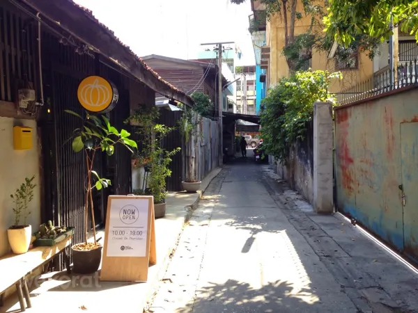 ที่เที่ยวนครราชสีมา Yellow Pumpkin