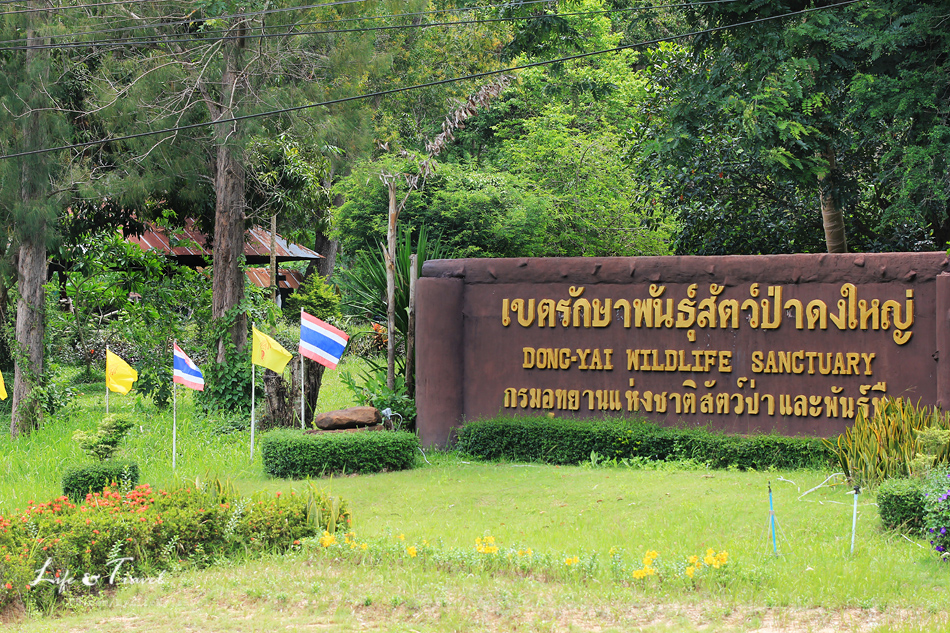 ที่เที่ยวบุรีรัมย์ เขตรักษาพันธุ์สัตว์ป่าดงใหญ่