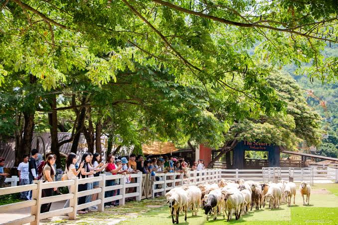 ที่เที่ยวราชบุรี The Scenery Vintage Farm Cafe