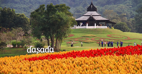 ที่เที่ยวปราจีนบุรี ดาษดา แกลเลอรี่