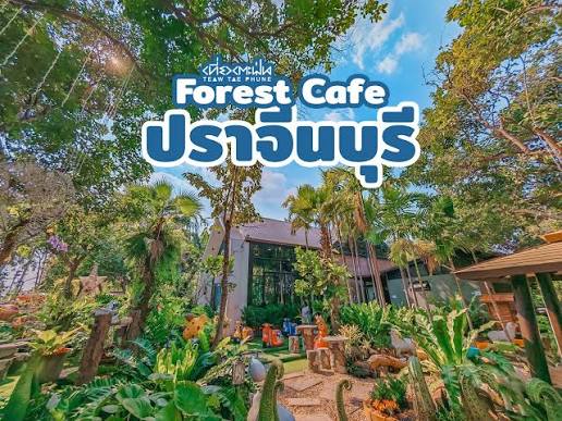 ที่เที่ยวปราจีนบุรี M Forest Cafe
