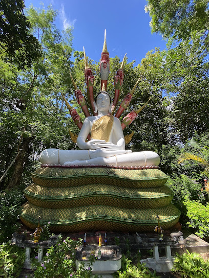 ที่เที่ยวพะเยา วัดอนาลโยทิพยาราม